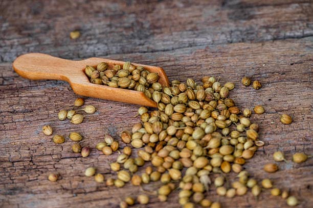 خرید و قیمت تخم گشنیز تازه + فروش عمده